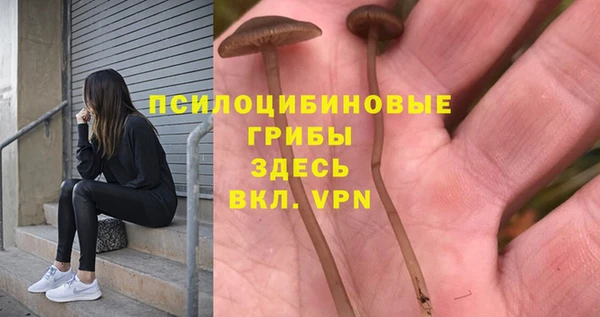 гашиш Абаза