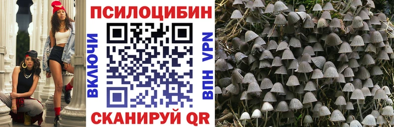 Псилоцибиновые грибы Psilocybine cubensis купить цена Киселёвск